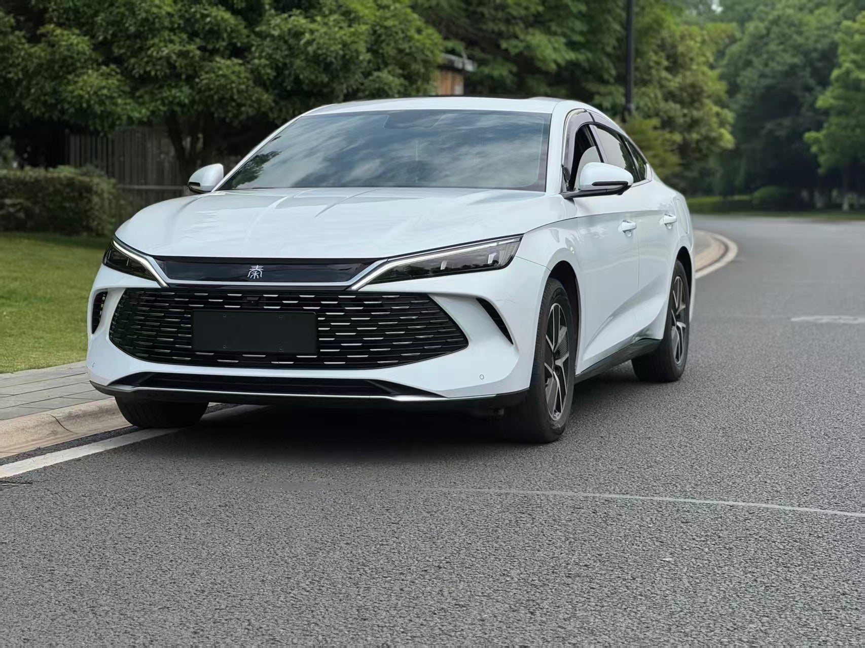 BYD  QIN L